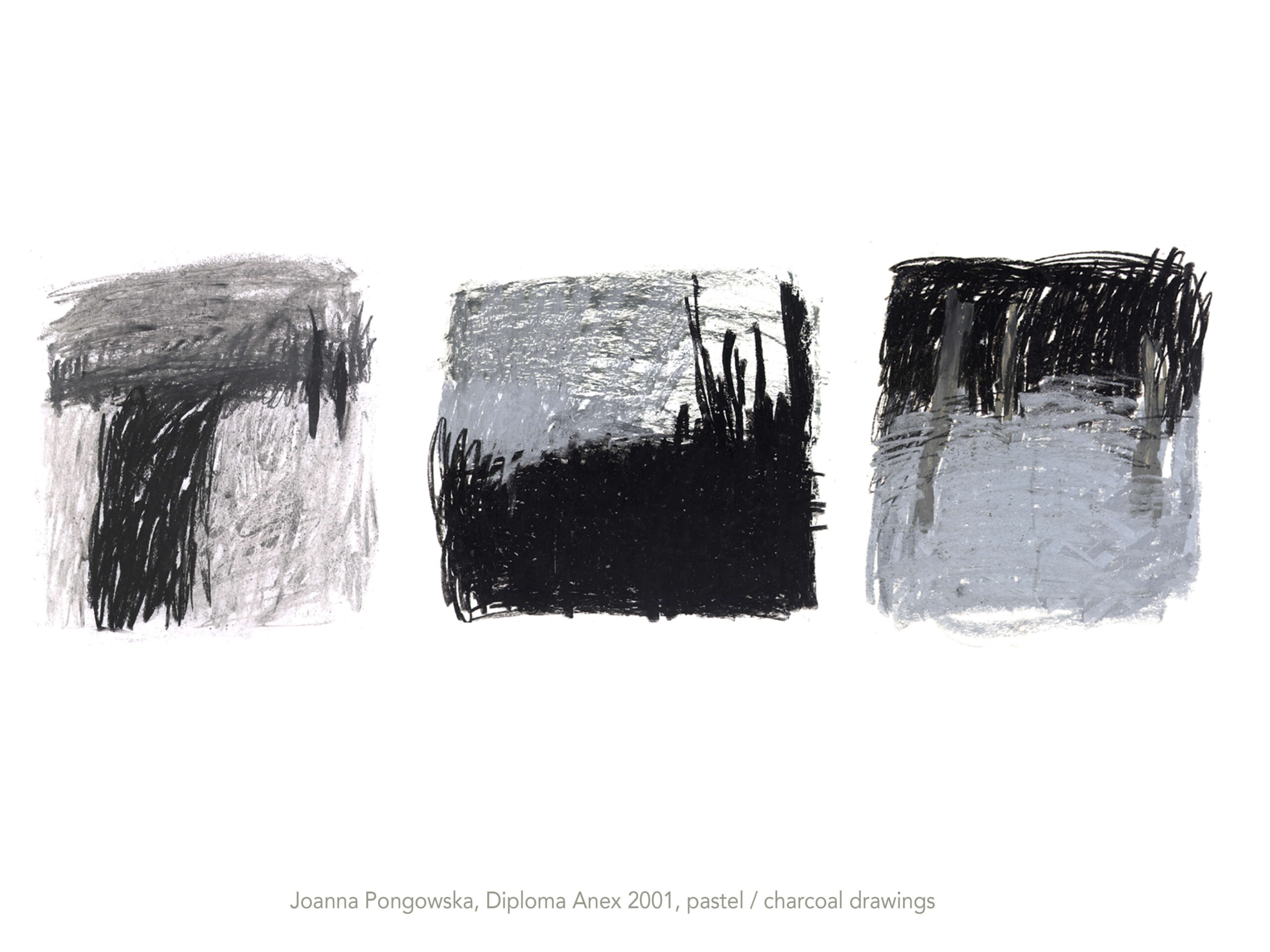 Diploma Anex_Joanna Pongowska 2001_Pastel_charcoal drawing Diploma Anex_Joanna Pongowska 2001_Pastel_charcoal drawing