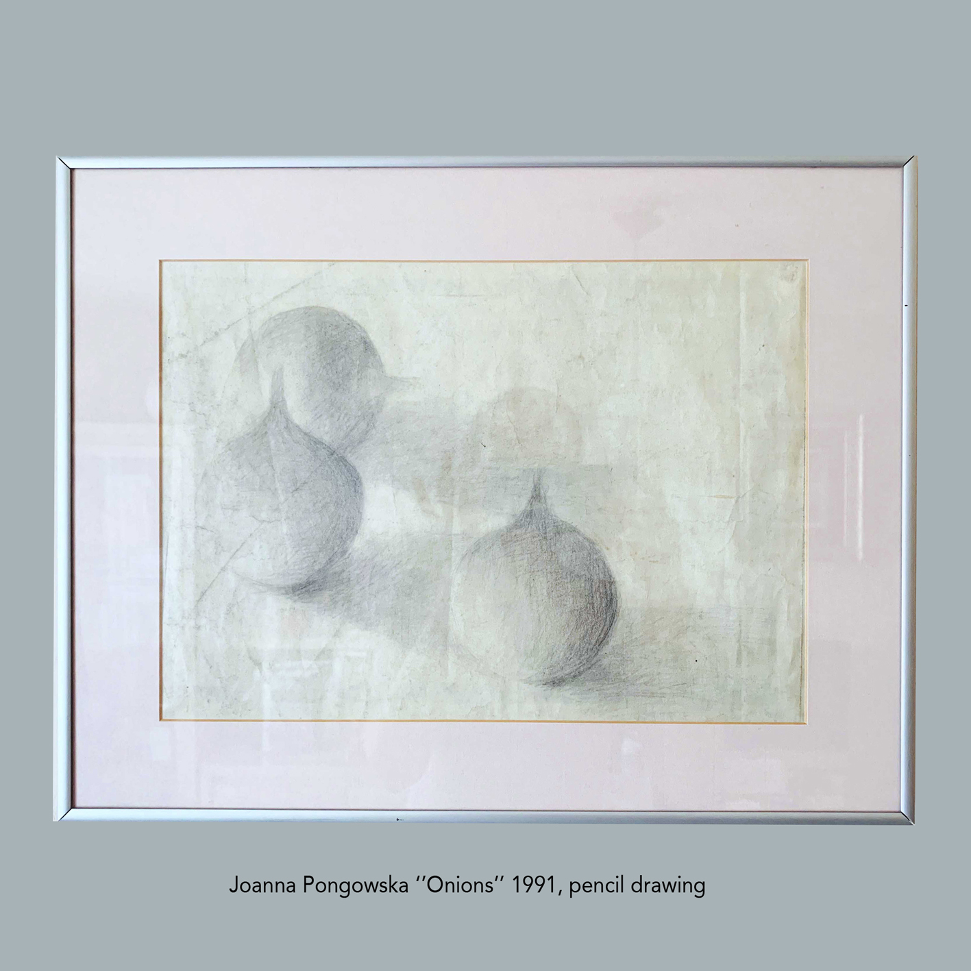 Onions, pencil drawing Joanna Pongowska 1991